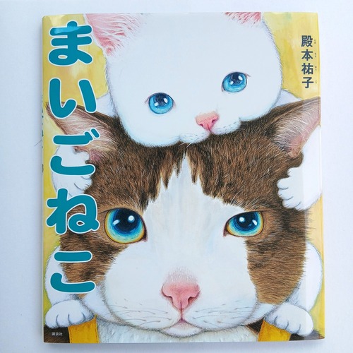 まいごねこ