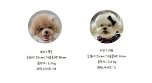 即納【Hi Yeboo】Xmas Bear Cape