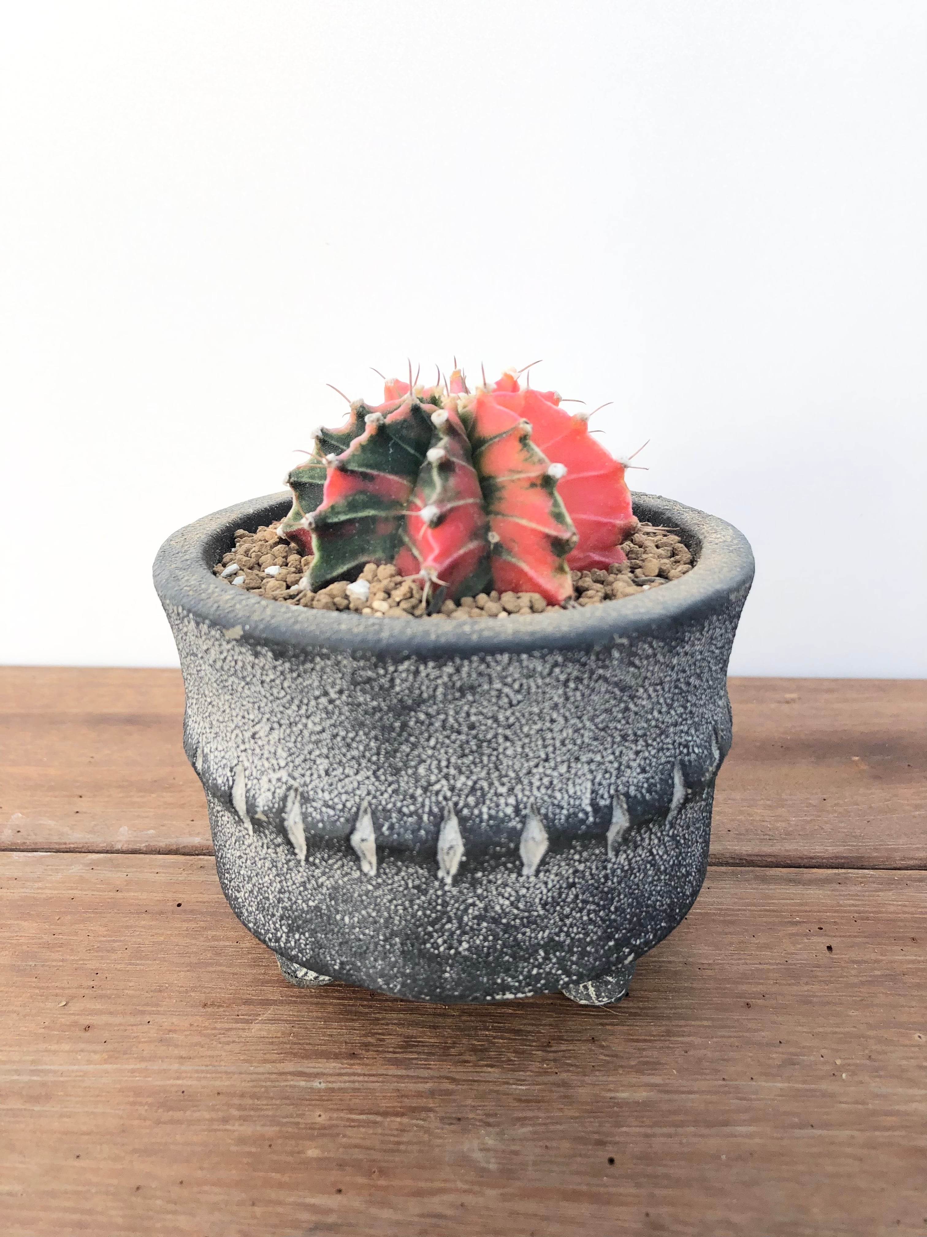 4db60bc5be5b302b81c8847518bd37