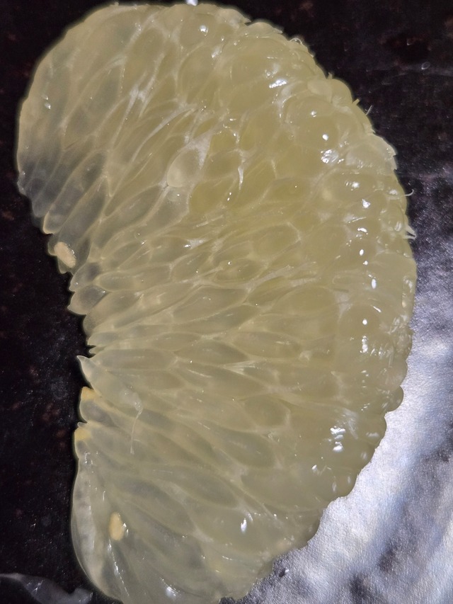 3種類の柑橘セット