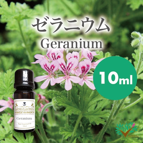 精油　ゼラニウム10ml【英国直輸入】