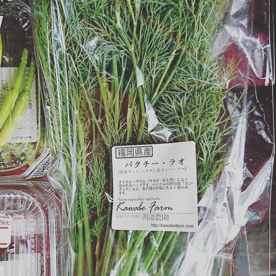 行者ニンニク 7～8年物 太球根苗 100株 【公式通販】