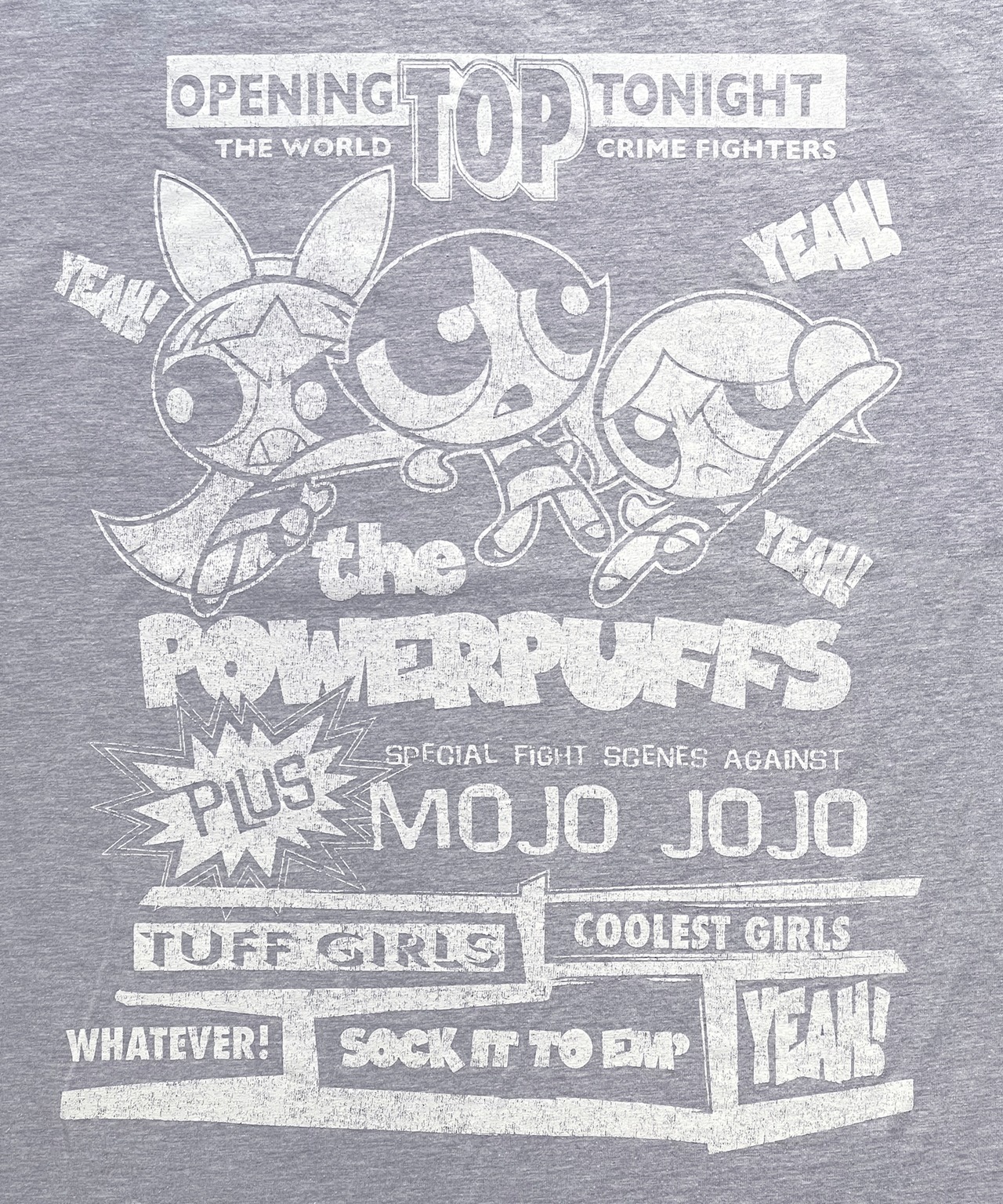 F252005-02_The Powerpuff Girls×Flapper Tシャツ_ポスターアート - 11
