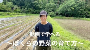 2024年【動画のみ】ぼくらの野菜の育て方（全40本）