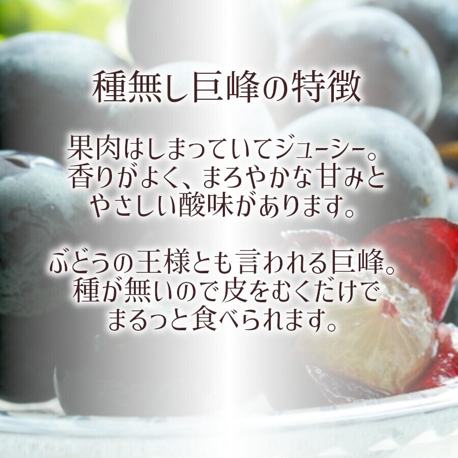 信州長野県産】※2023年先行予約※ シャインマスカット＆種無し巨峰各１
