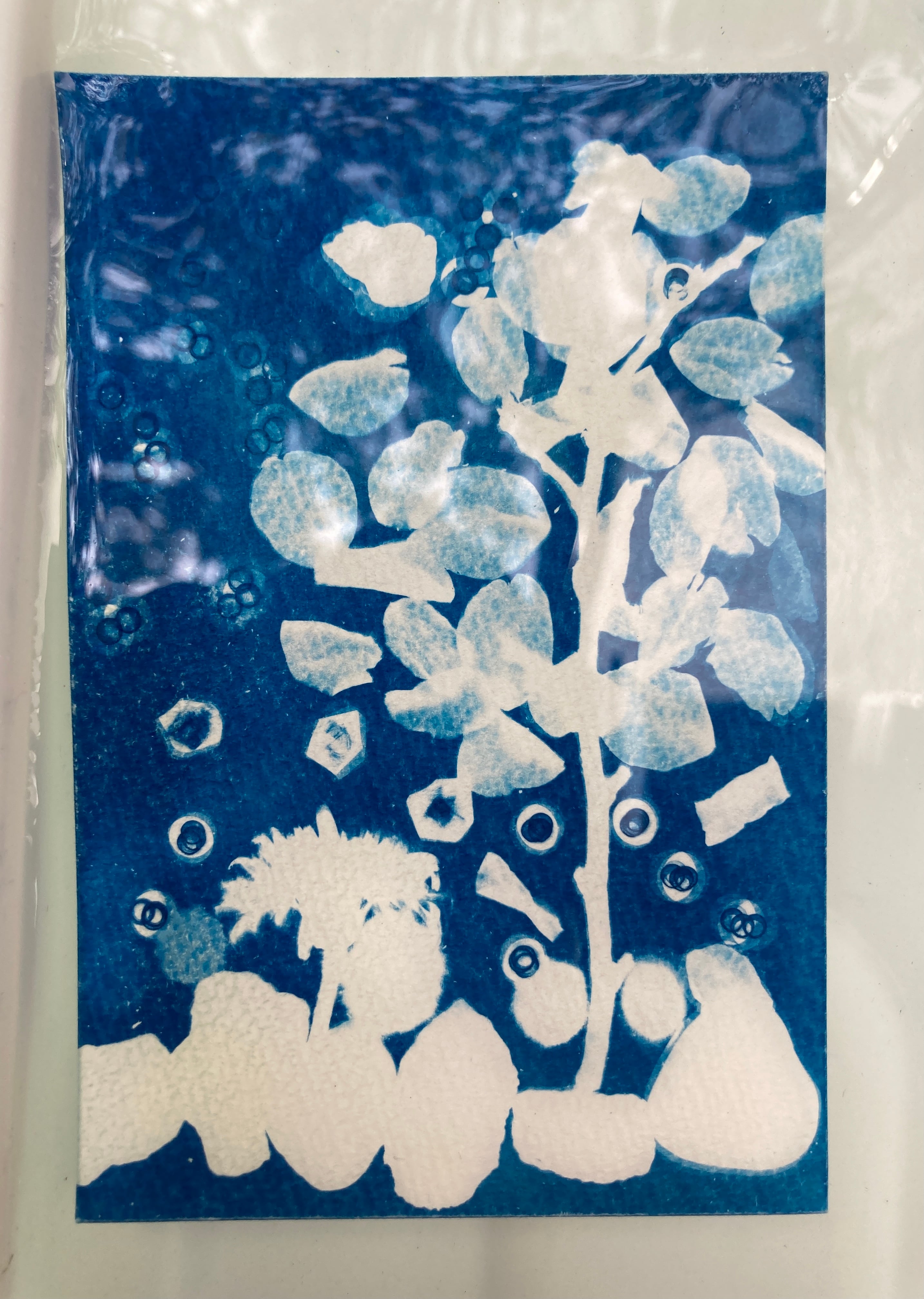 A3サイズ感光紙（サイアノタイプ・日光写真用／厚口水彩画紙使用