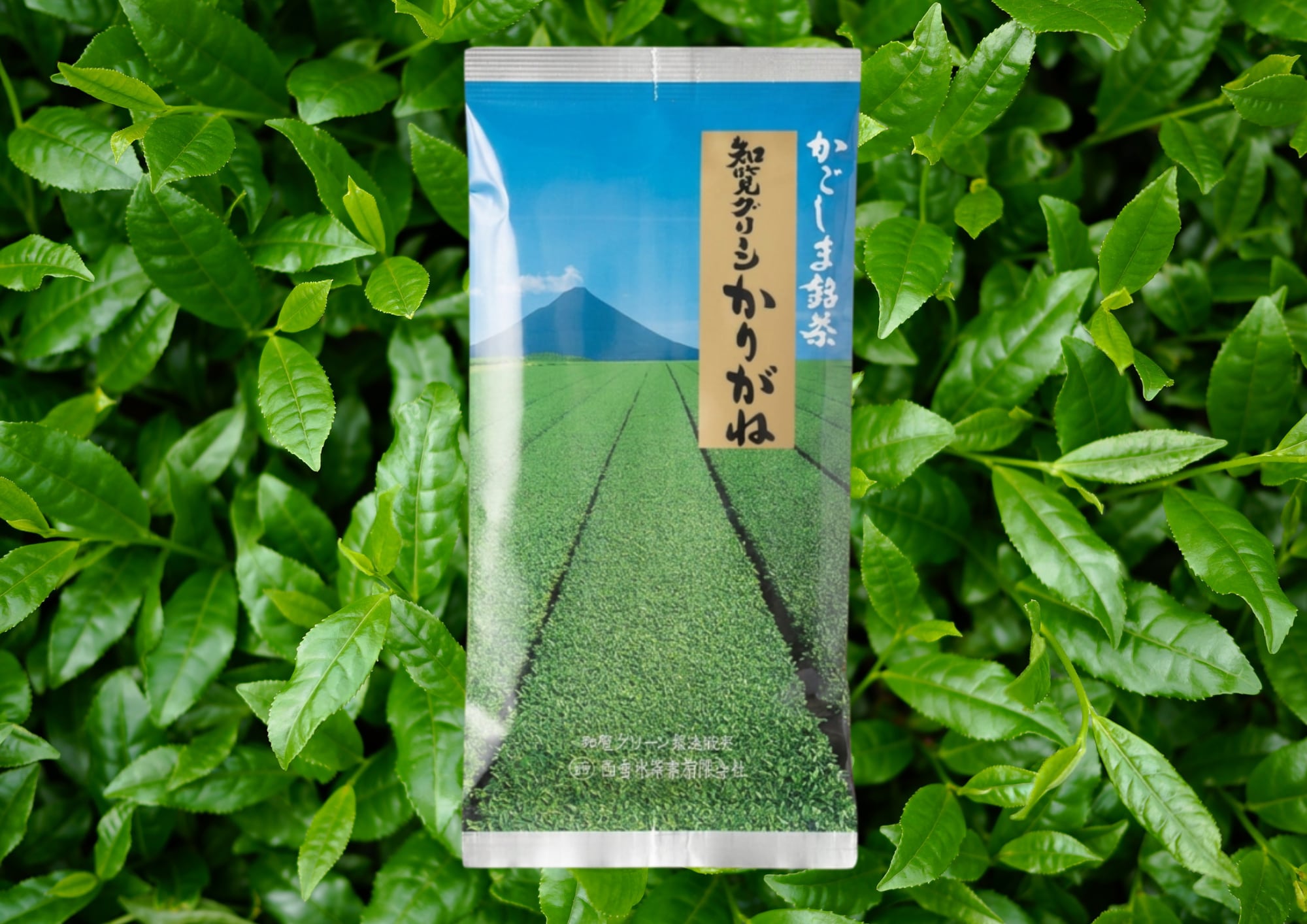 西垂水茶業 知覧茶グリーン かりがね | 知覧茶専門店 KOIGOI