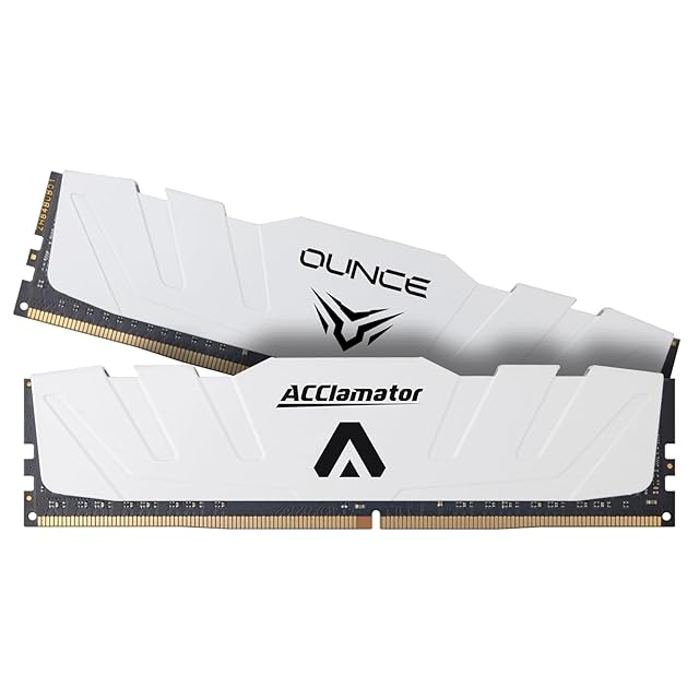 Biwin HX100 DDR5 6000MHz 32GB(16GB×2) 銀色 Biwin HX100 DDR5