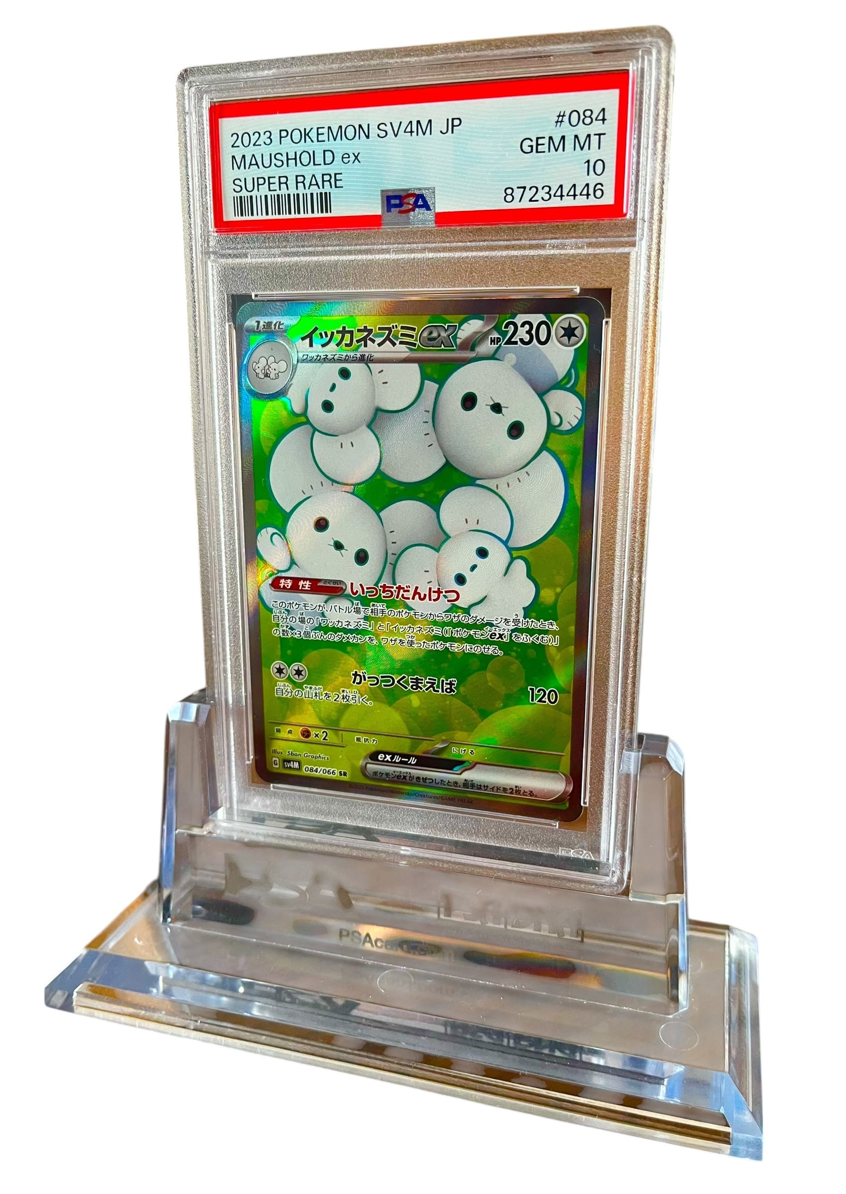 PSA10】イッカネズミex SR (SV4M 084/066) ポケモンカード 鑑定品