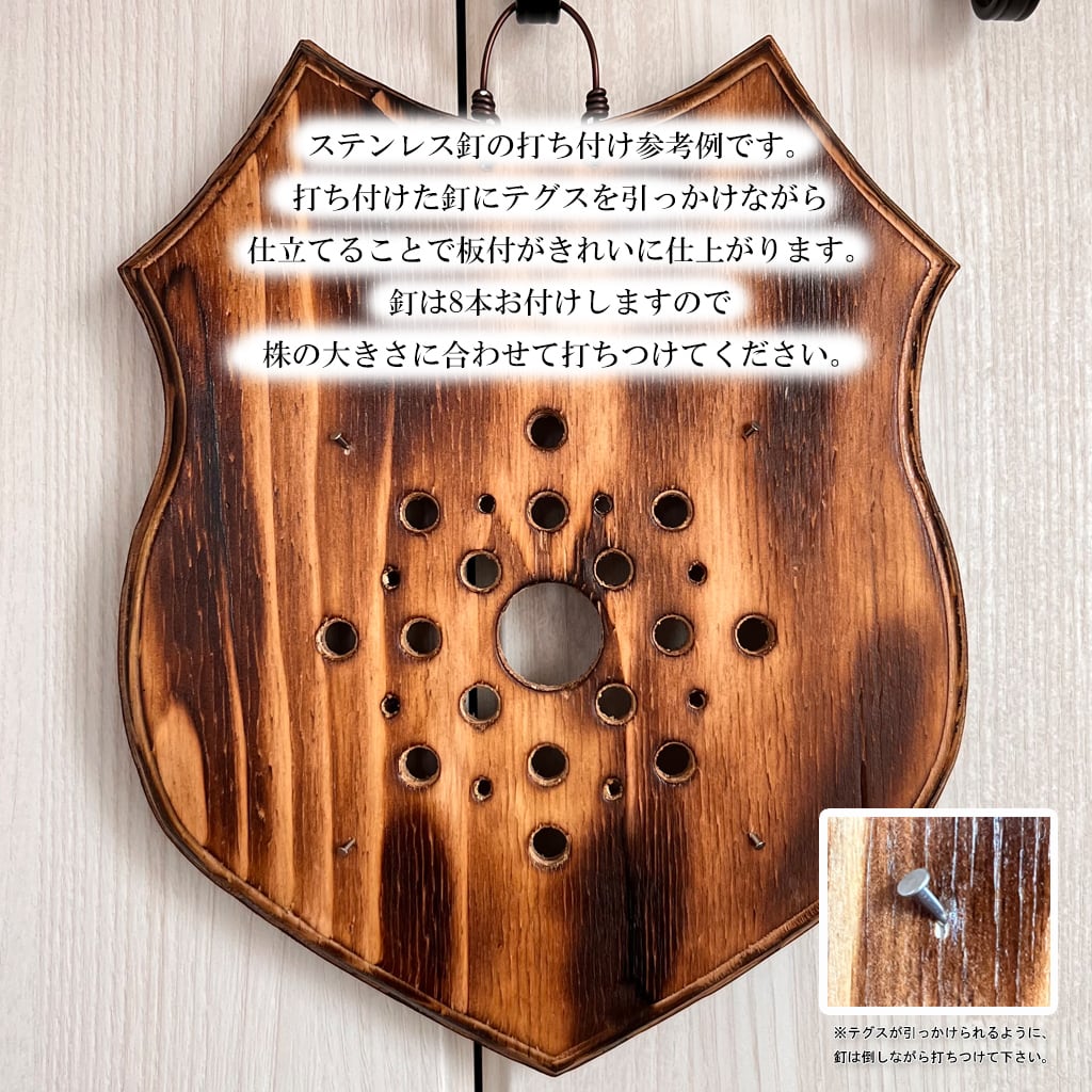 ビカクシダ　着生板　焼杉　24枚 ビカクシダ 着生板 焼杉 24枚