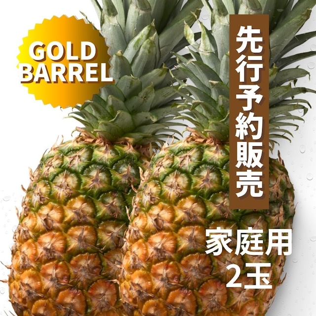【予約商品・順次ご発送】沖縄東村産ブランドパイン 『ゴールドバレル』 家庭用2玉 約3.5kg