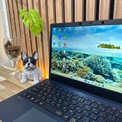 \ 公式ショップ限定価格❣️/ 極美品《最上位i7搭載》新型モデル【NEC LAVIE N14】SSD512GB 第11世代 メモリ8GB ノートパソコン 安心サポート&3ヶ月保証付き