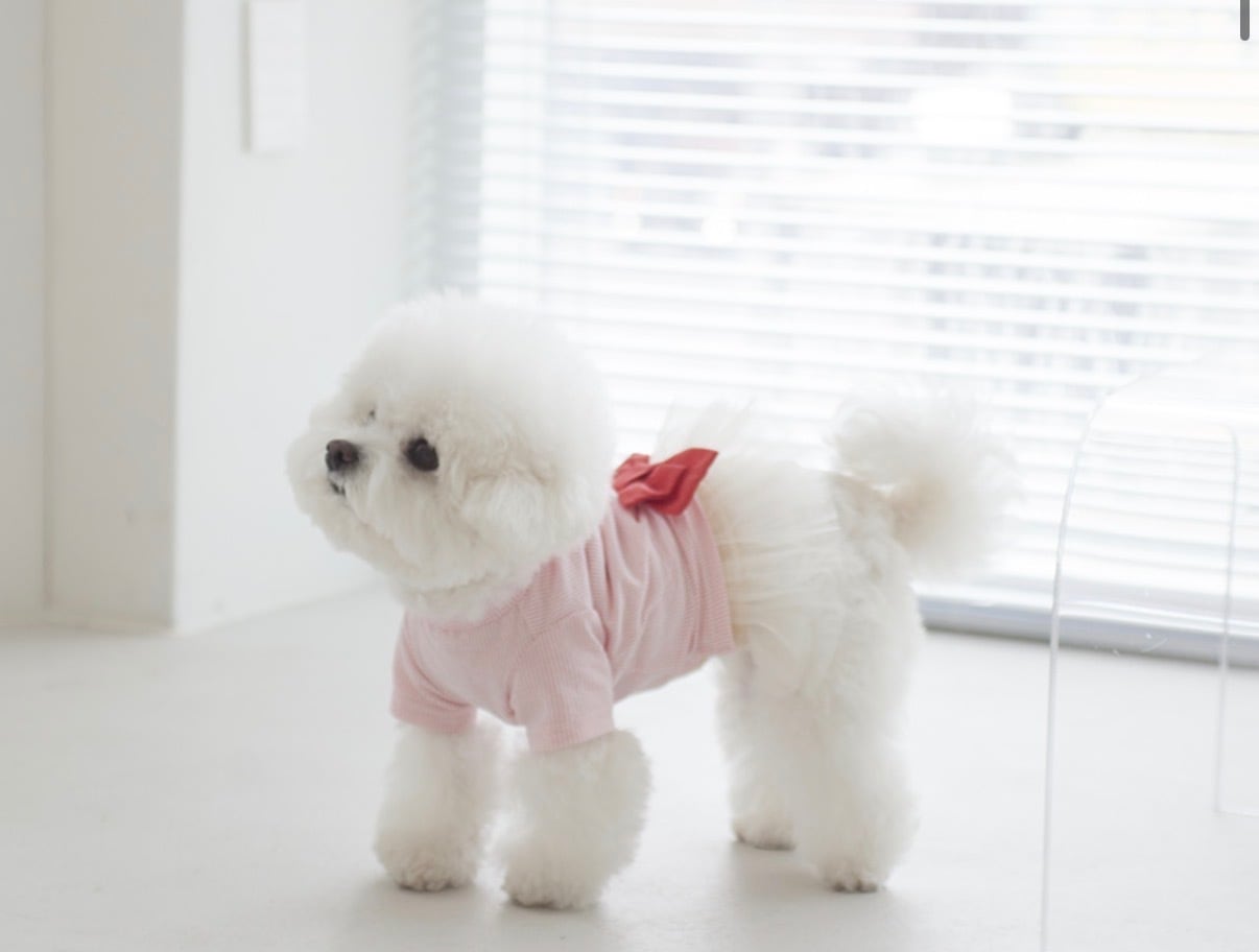 【Coco Chien】 リボン付き袖なしTシャツ