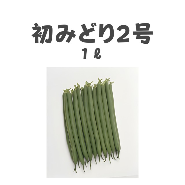 初みどり2号　インゲン種子・1L