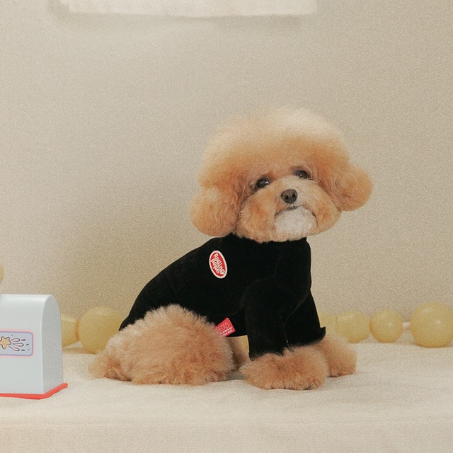 〈 即納アイテム 〉Rolling PEPE Tシャツ / ニュートロTシャツ (ブラック) Mサイズ