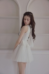 Back ribbon tulle dress