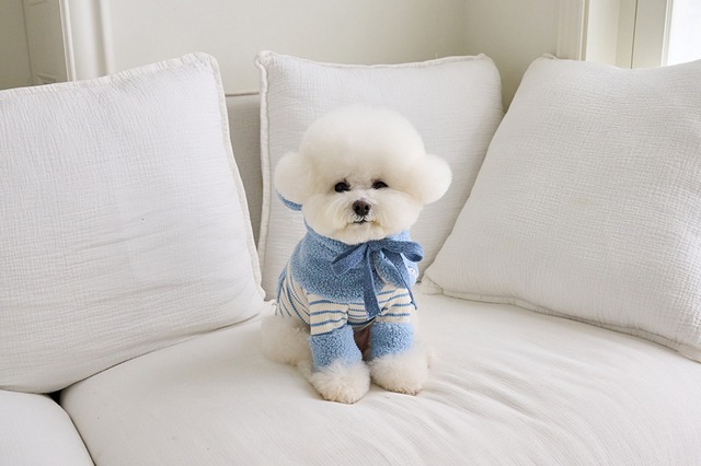 即納 【mabellefifi】ポグルフードケープ  blue