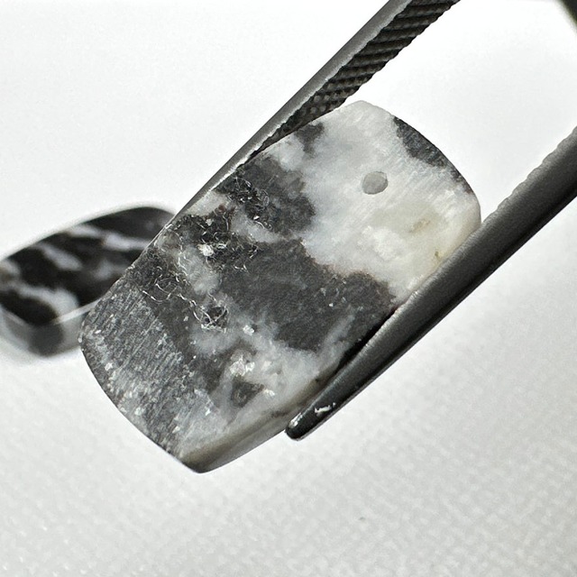 ◇ゼブラジャスパー◇　はちぴあ・はちばちSML