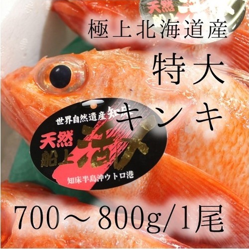 生 キンキ 特大サイズ 約700-800g （豊洲直送）北海道網走/知床産 きんき ギフト 贈答用 お中元 釣りキンキ【生キンキ700-800g】 冷蔵