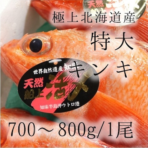 生 キンキ 特大サイズ 約700-800g （豊洲直送）北海道網走/知床産 きんき ギフト 贈答用 お中元 釣りキンキ【生キンキ700-800g】 冷蔵