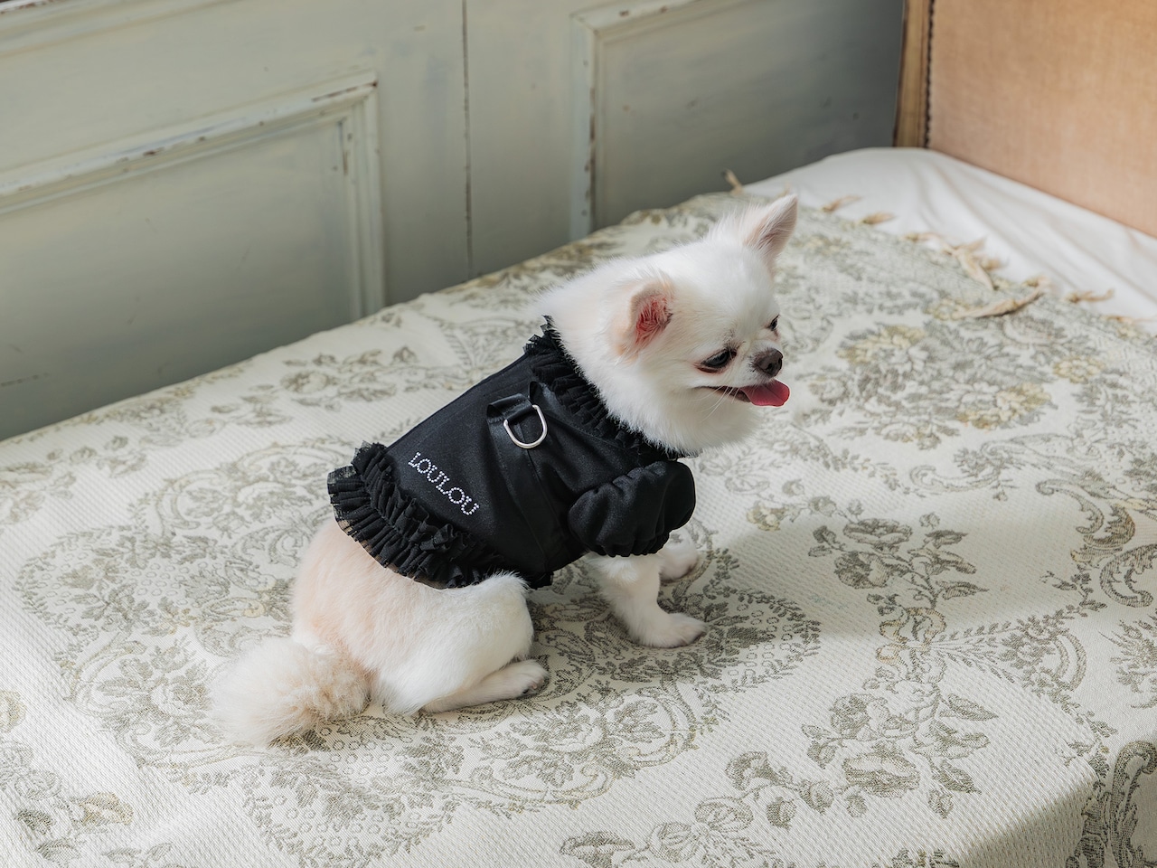 ノワールハーネス