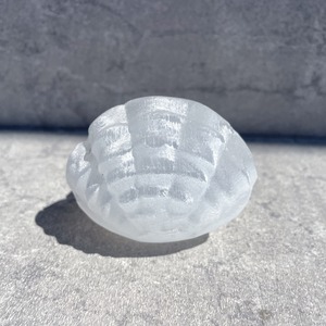 セレナイト シェル型ボウル02♢Selenite Shell Bowl♢天然石・鉱物・パワーストーン