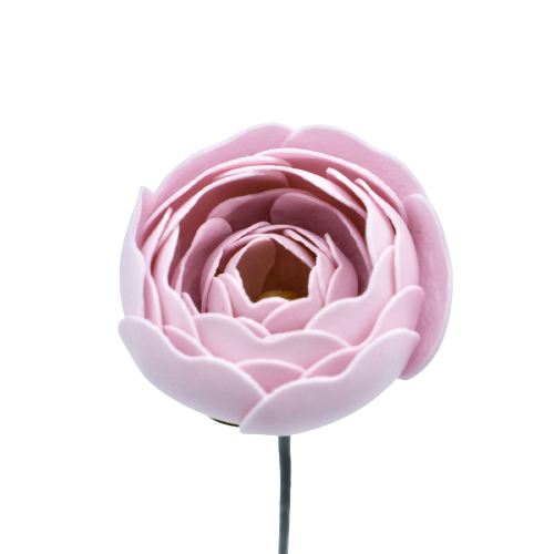 ラナンキュラスN-PR1 ライラック ベビーピンク (15輪入りor25輪入り)