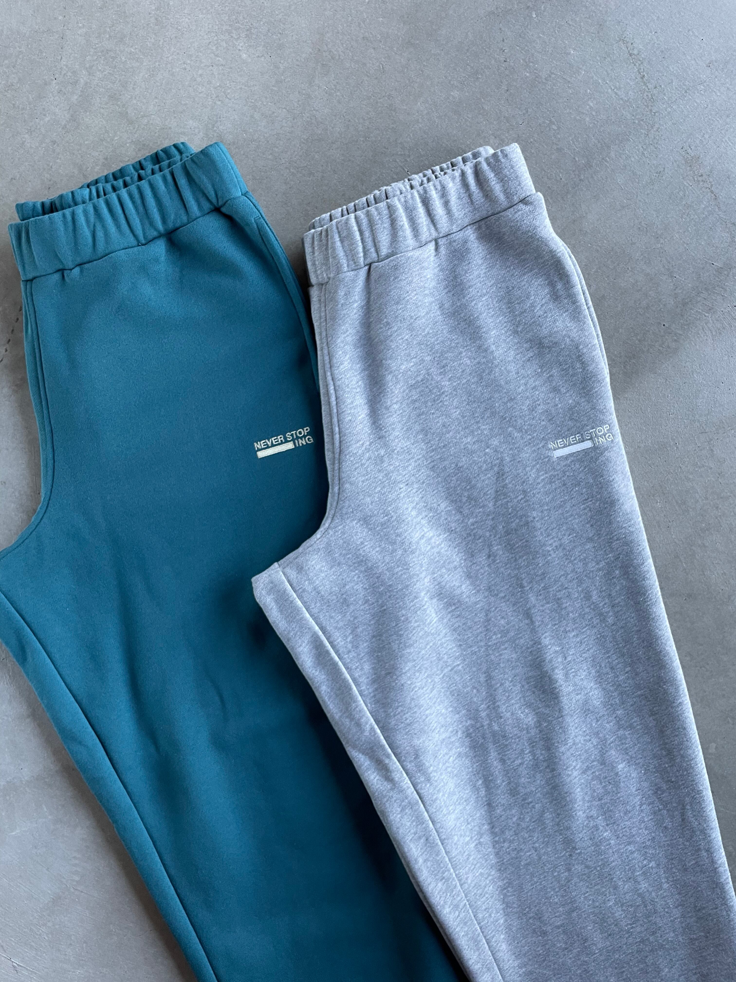 THE NORTH FACE【 NEVER STOP ING Pant 】 | LARGE LAB TOWN