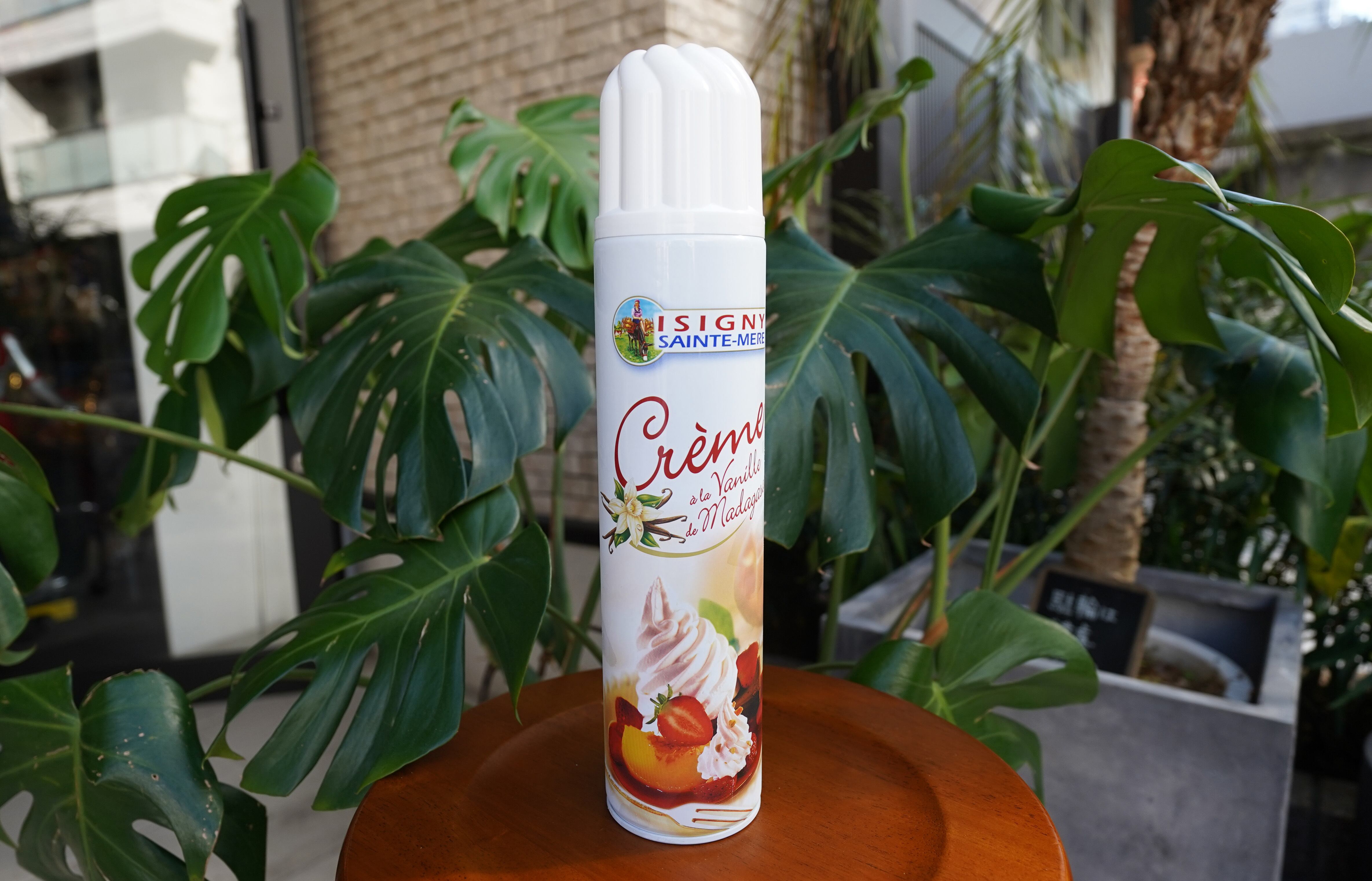 イズニー スプレーホイップ500g