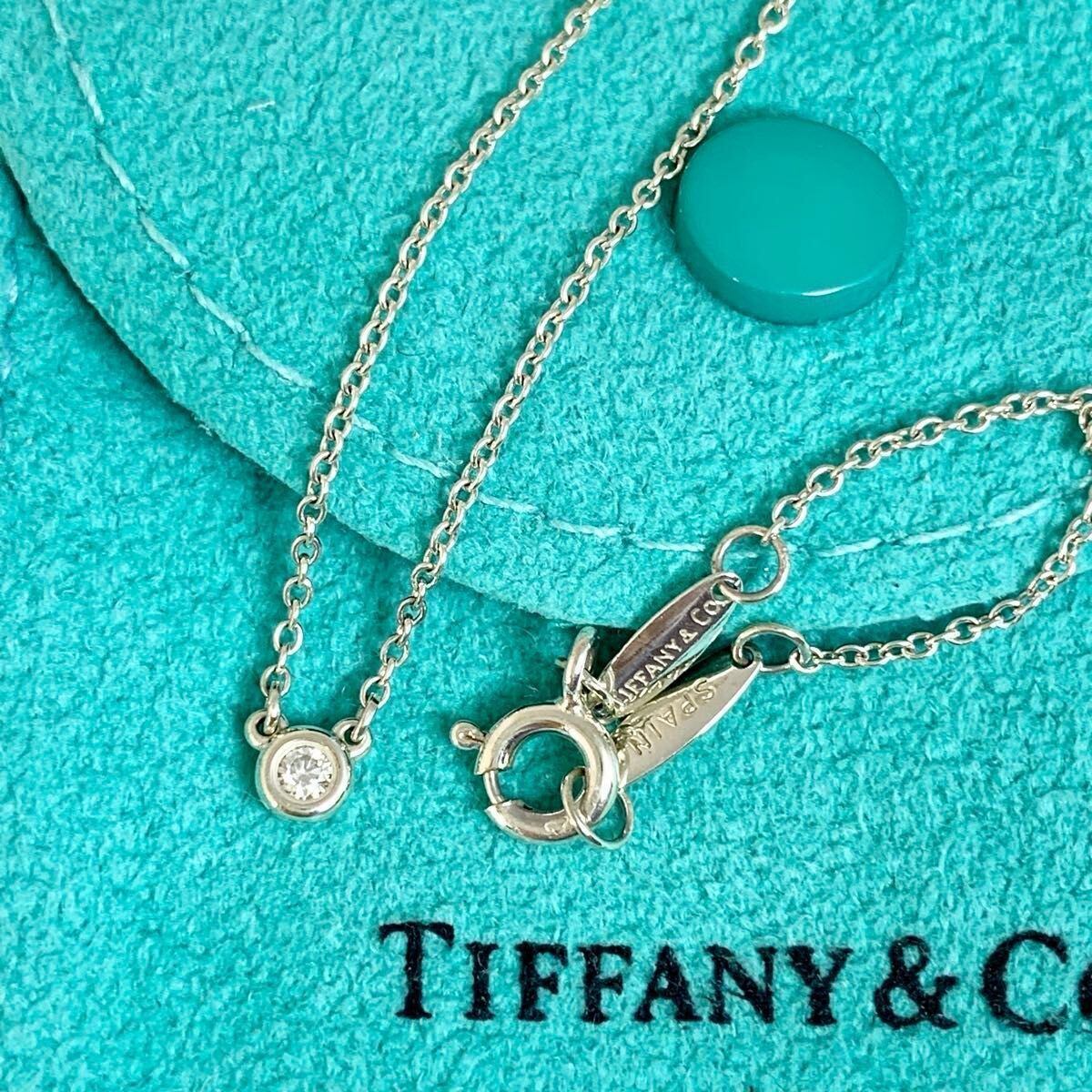 ティファニー 9P シーホース ネックレス エルサペレッティ RM7fe