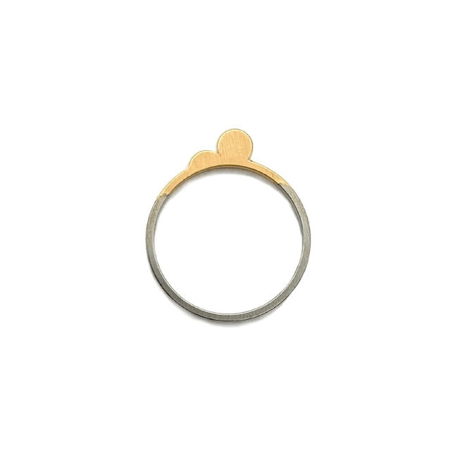 Punch hole project ring "Tankobu"