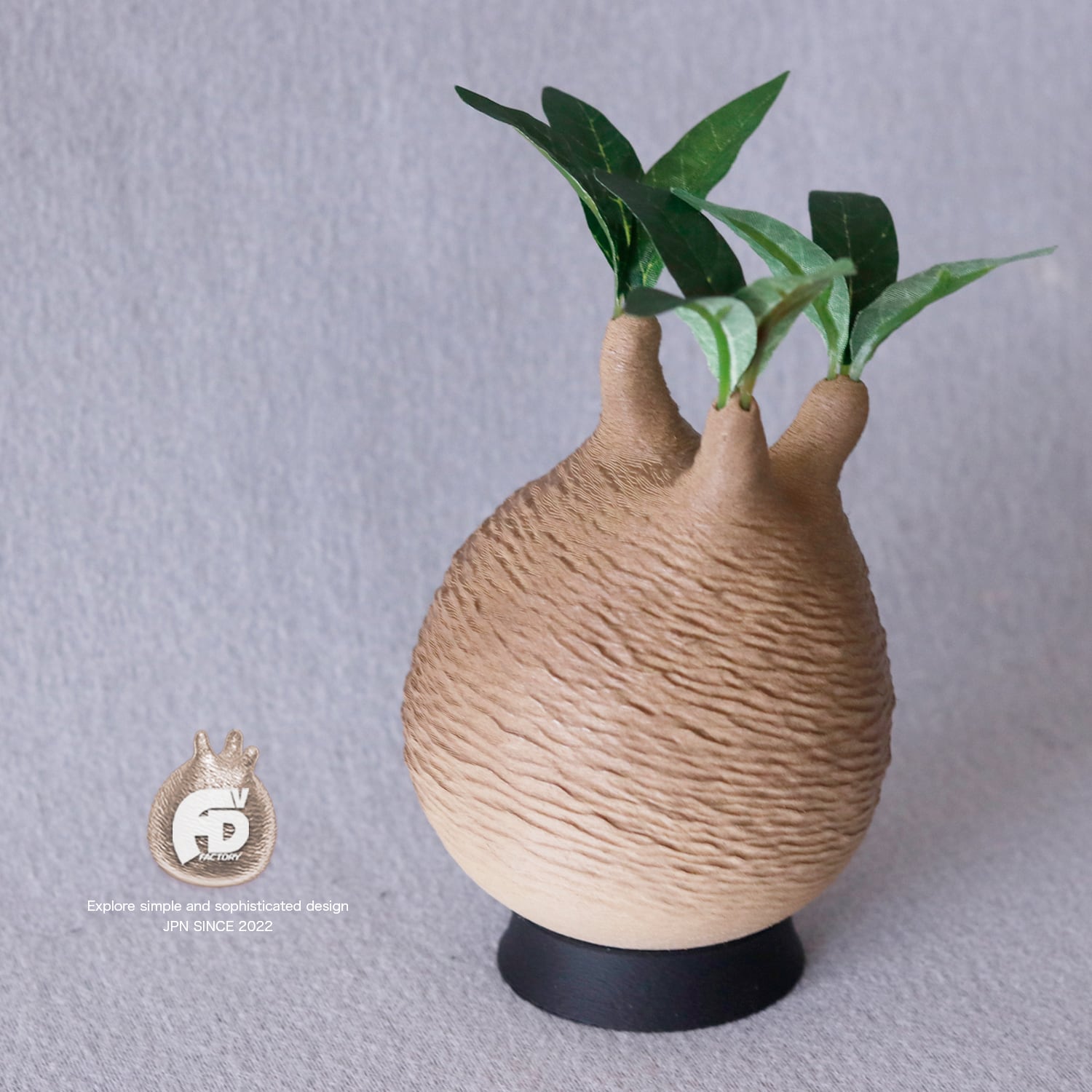 触れたくなるCaudex造形｜パキポディウム グラキリス｜(130x240) Ssize