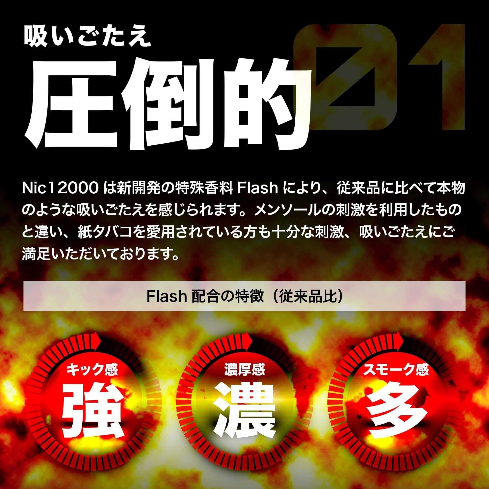 NIC CHARGE Nic12000 Nic 12000 ニック12000 ニックチャージ ニコ