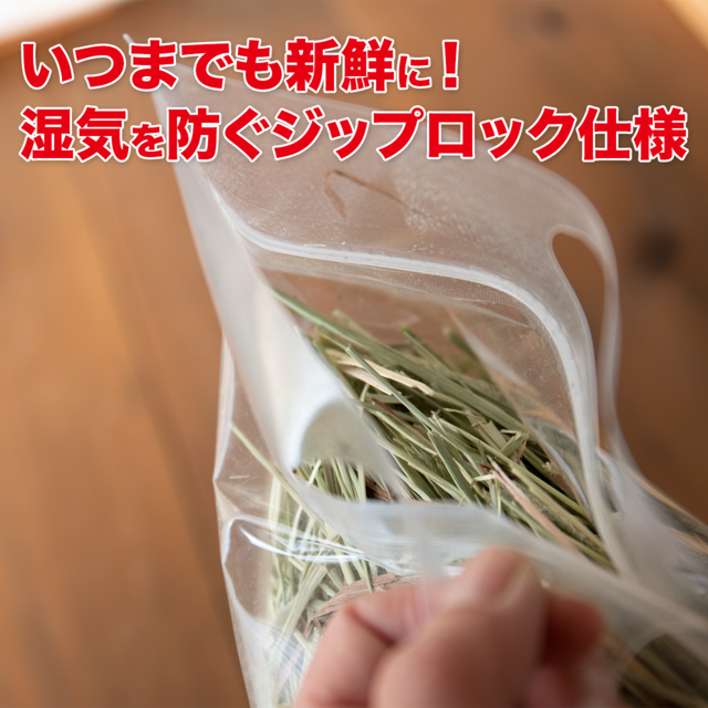 新ロット　2025年産　セカンドフラッシュ　カナダ産（ドライランドエリア）チモシー　500g