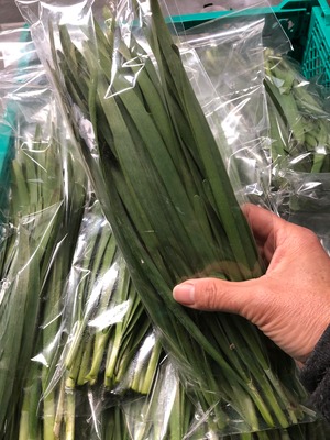 シモタファームお野菜満喫セット