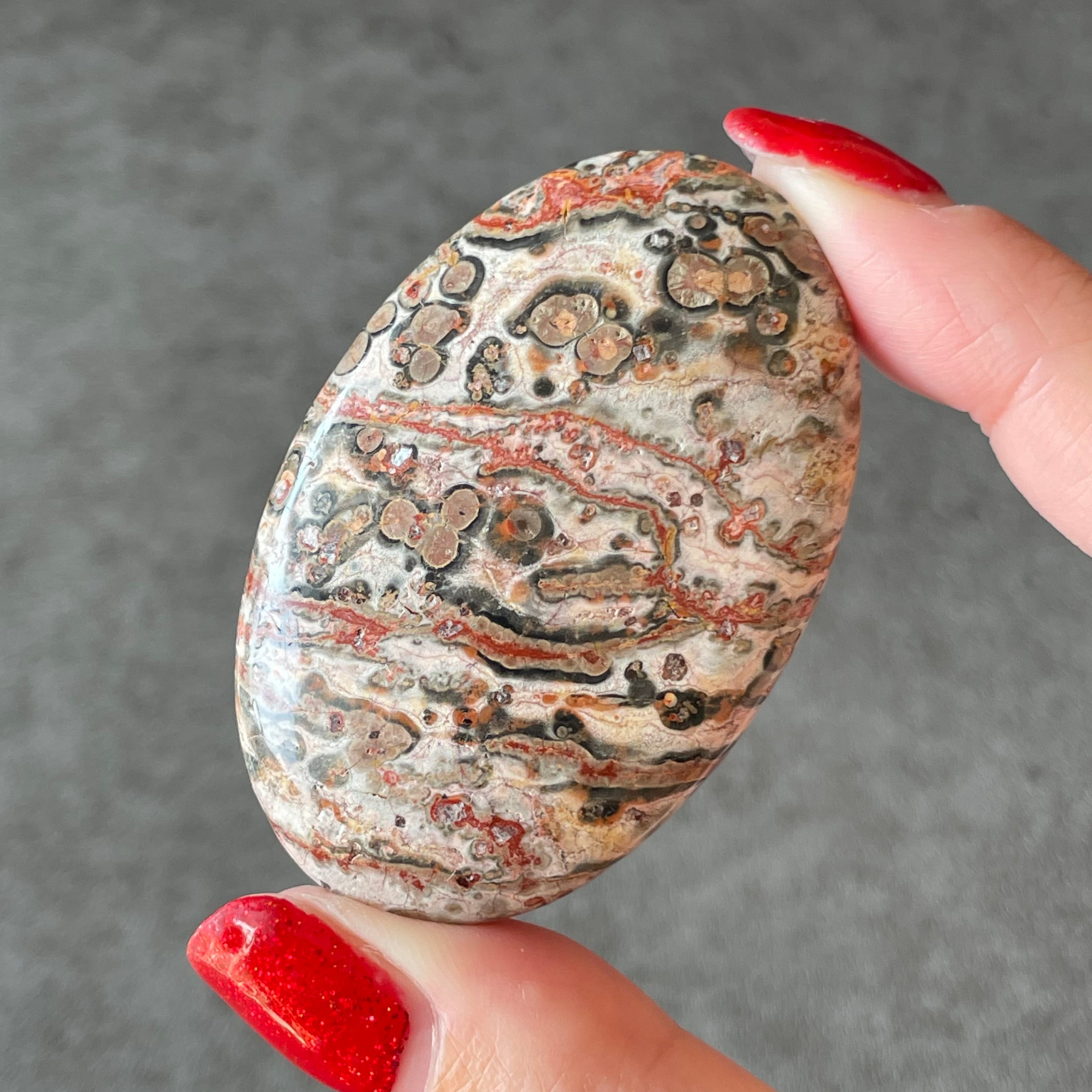 Leopard Skin Jasper レオパードスキンジャスパー|palm パーム②|天然石 パワーストーン 鉱物 gem stone