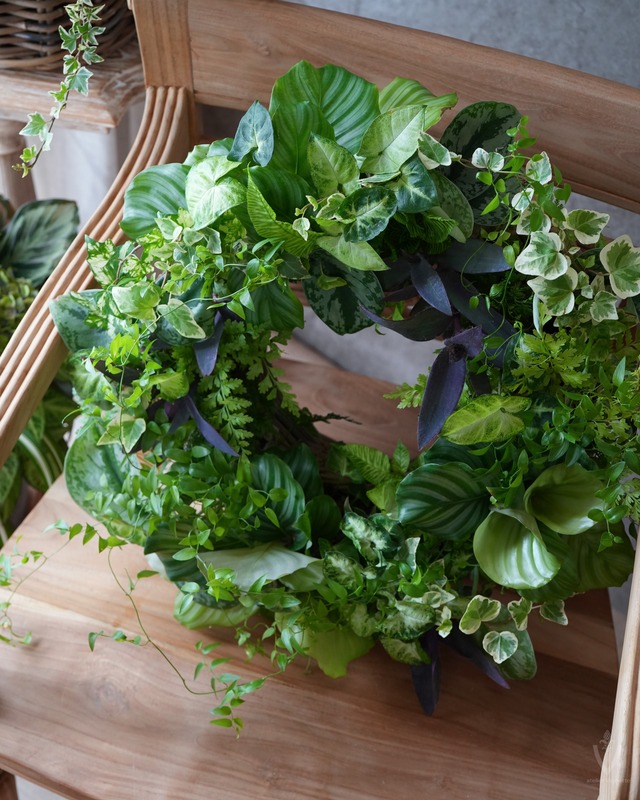 【φ40cmリース用】観葉植物のシンプルなグリーンリースセット