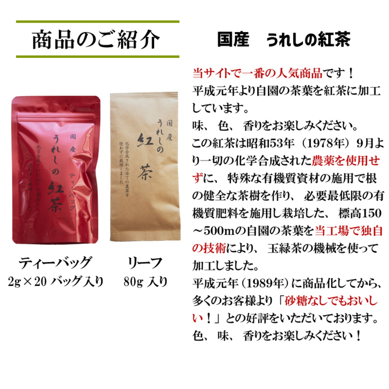 無農薬栽培の嬉野茶  うれしの紅茶 リーフ or ティーバッグ - 2