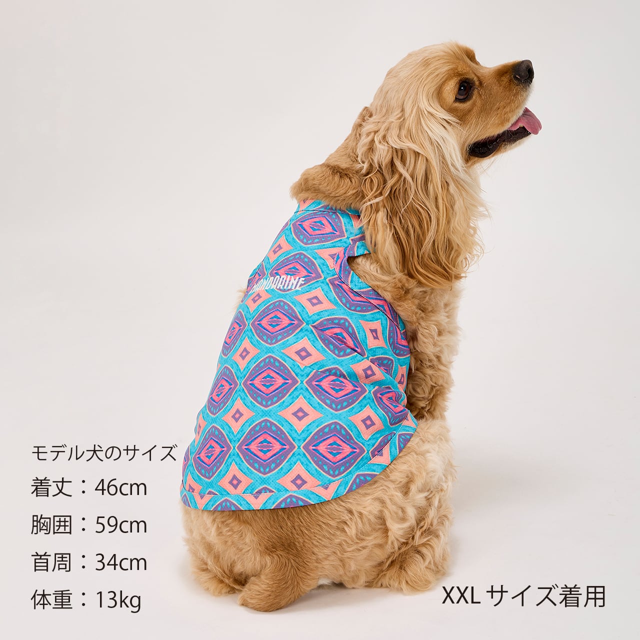 CCL COOLING TANK（M.MD.L） CCLクーリングタンク | MANDARINE