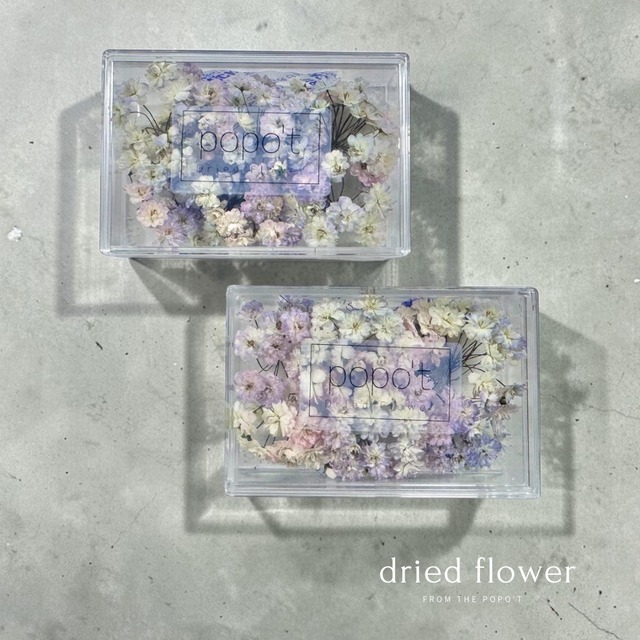 【大人気】八重咲きコデマリ グラデーション　Box