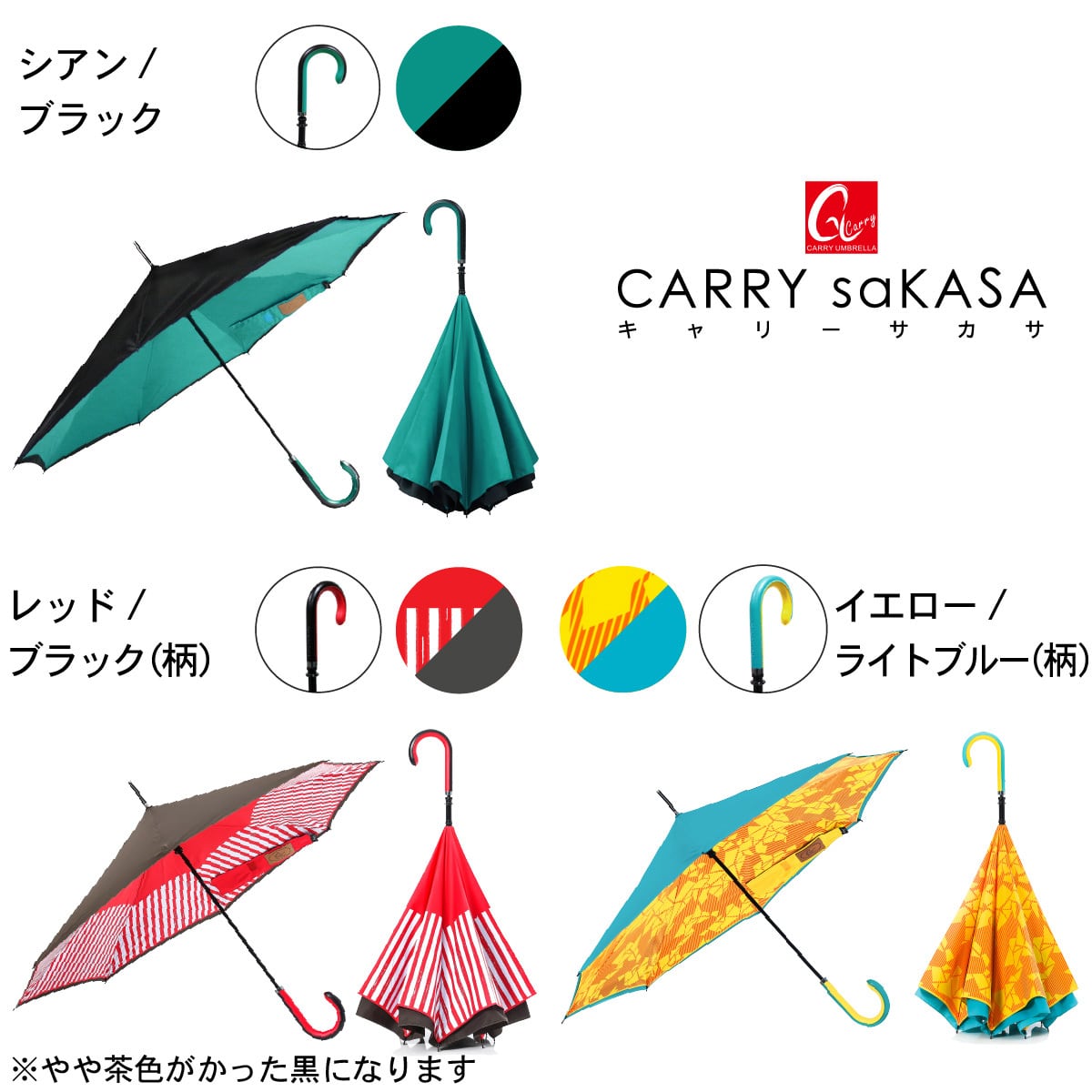さささん専用　10/2中支払い CARRY saKASA City Model | IBBshop