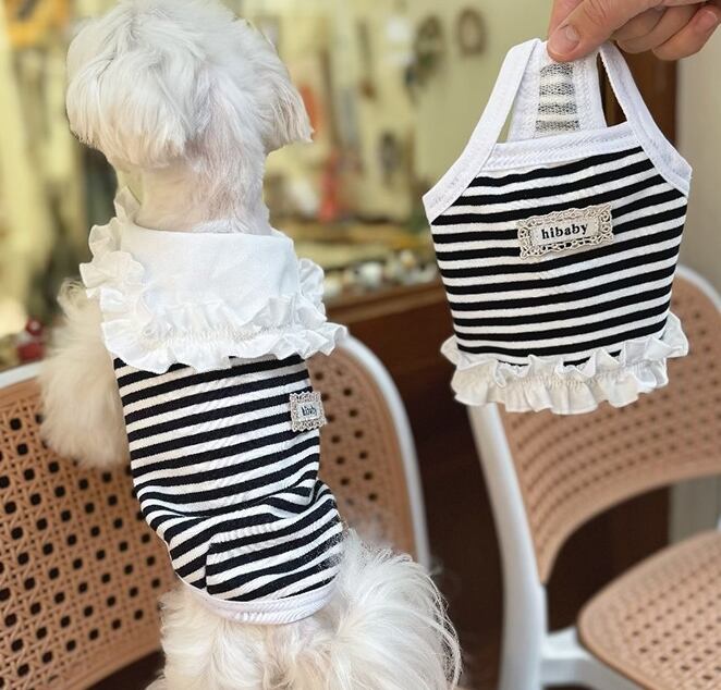 《予約》1103170 ボーダートップス