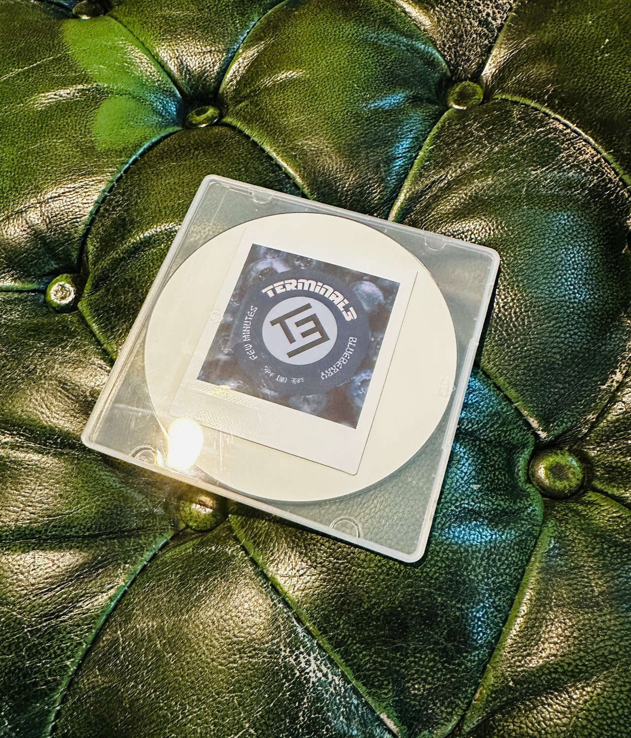 Teminal3 CD New EP "Blueberry"