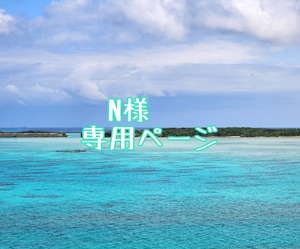 N様専用ページ