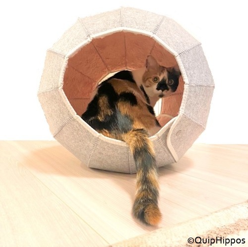 ねこハウス〈D-Ball〉