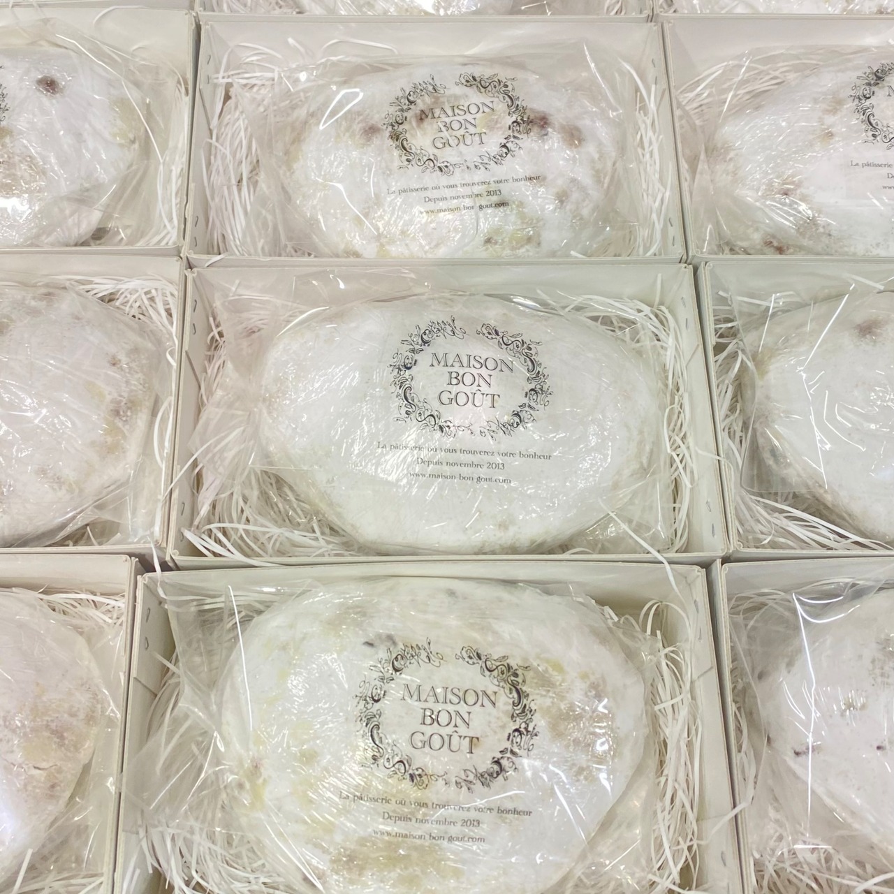 Stolen2025 シュトーレン2025 画像4