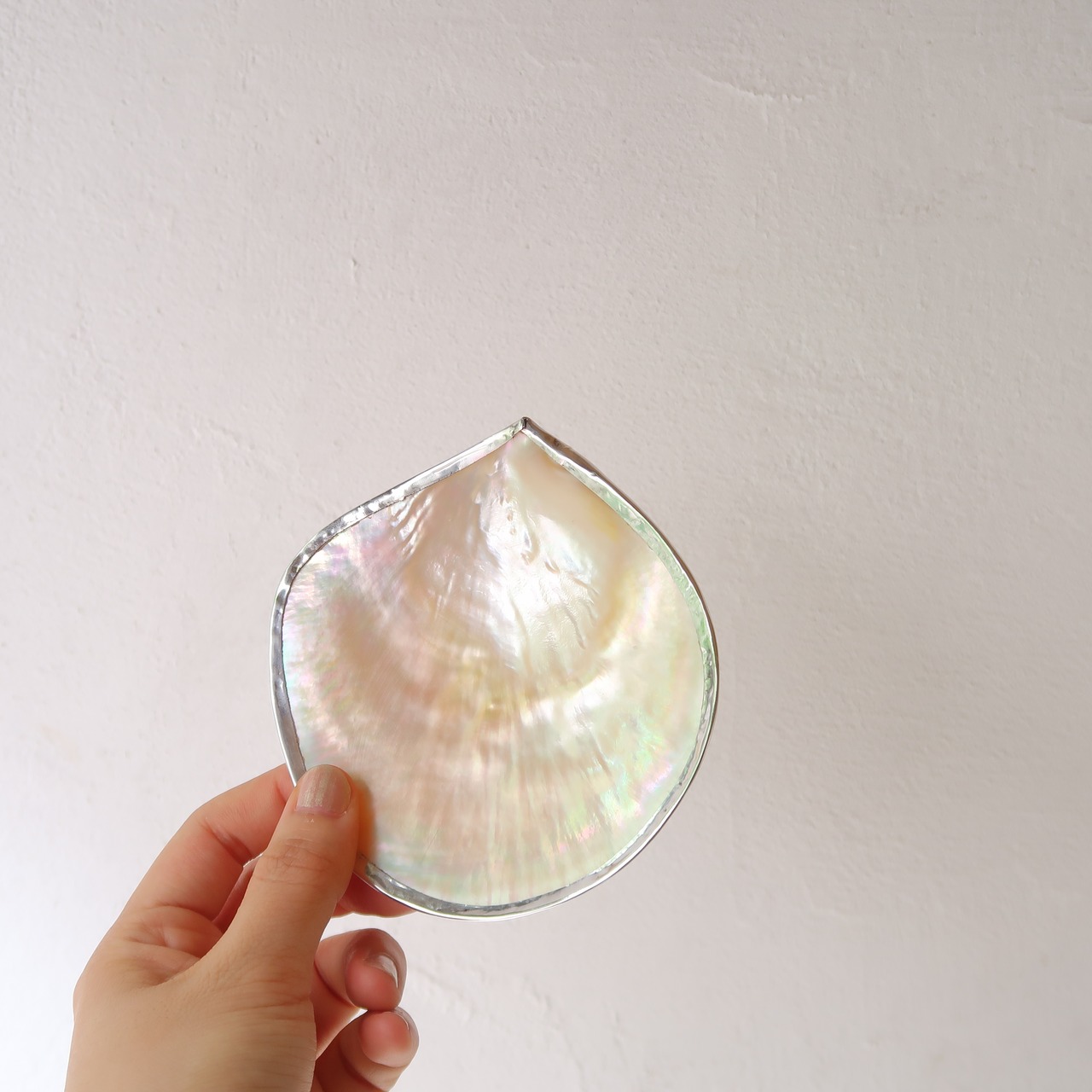 シルバーなふちのシェル