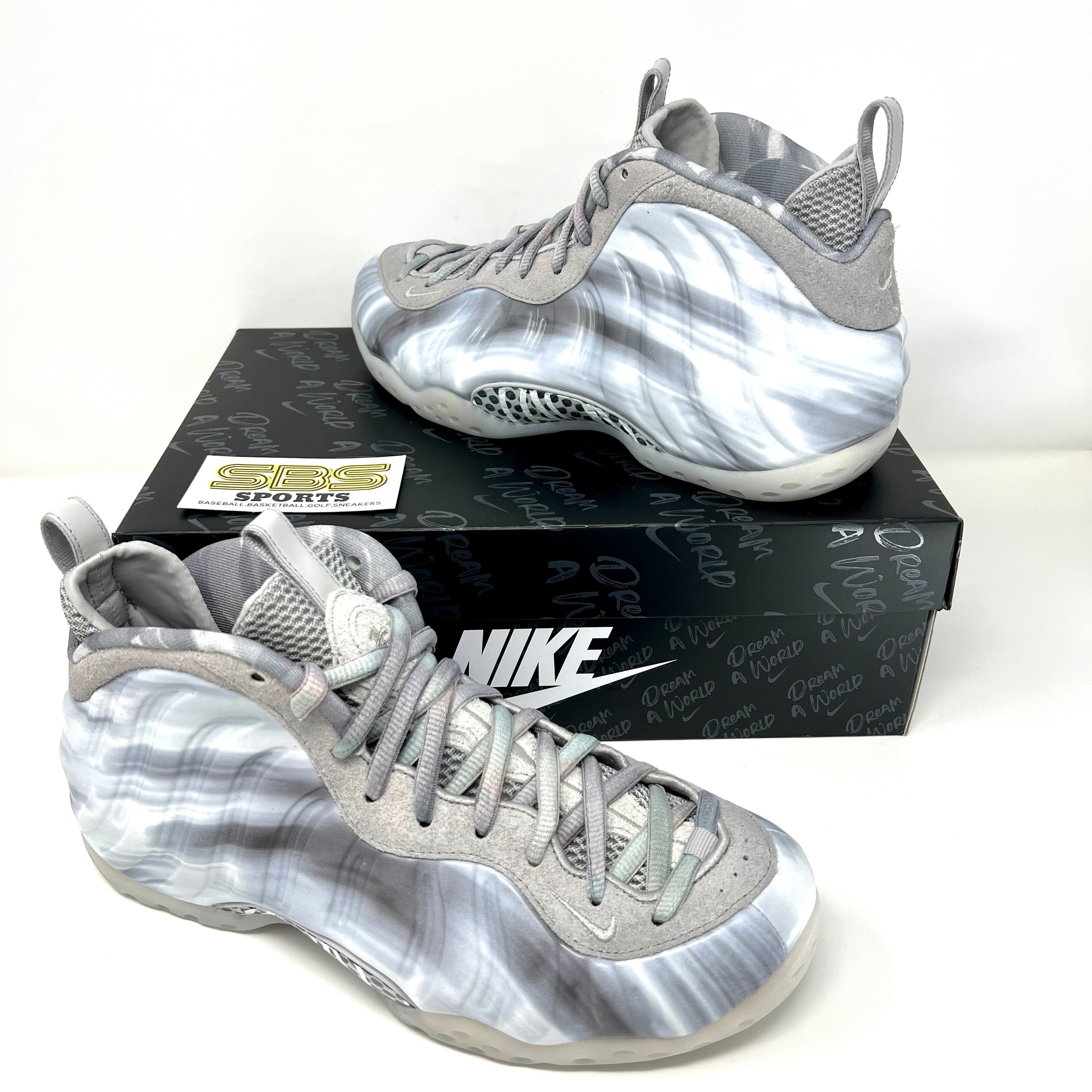 NIKE AIR FOAMPOSITE ONE Dream A World Tech Grey ナイキ エア