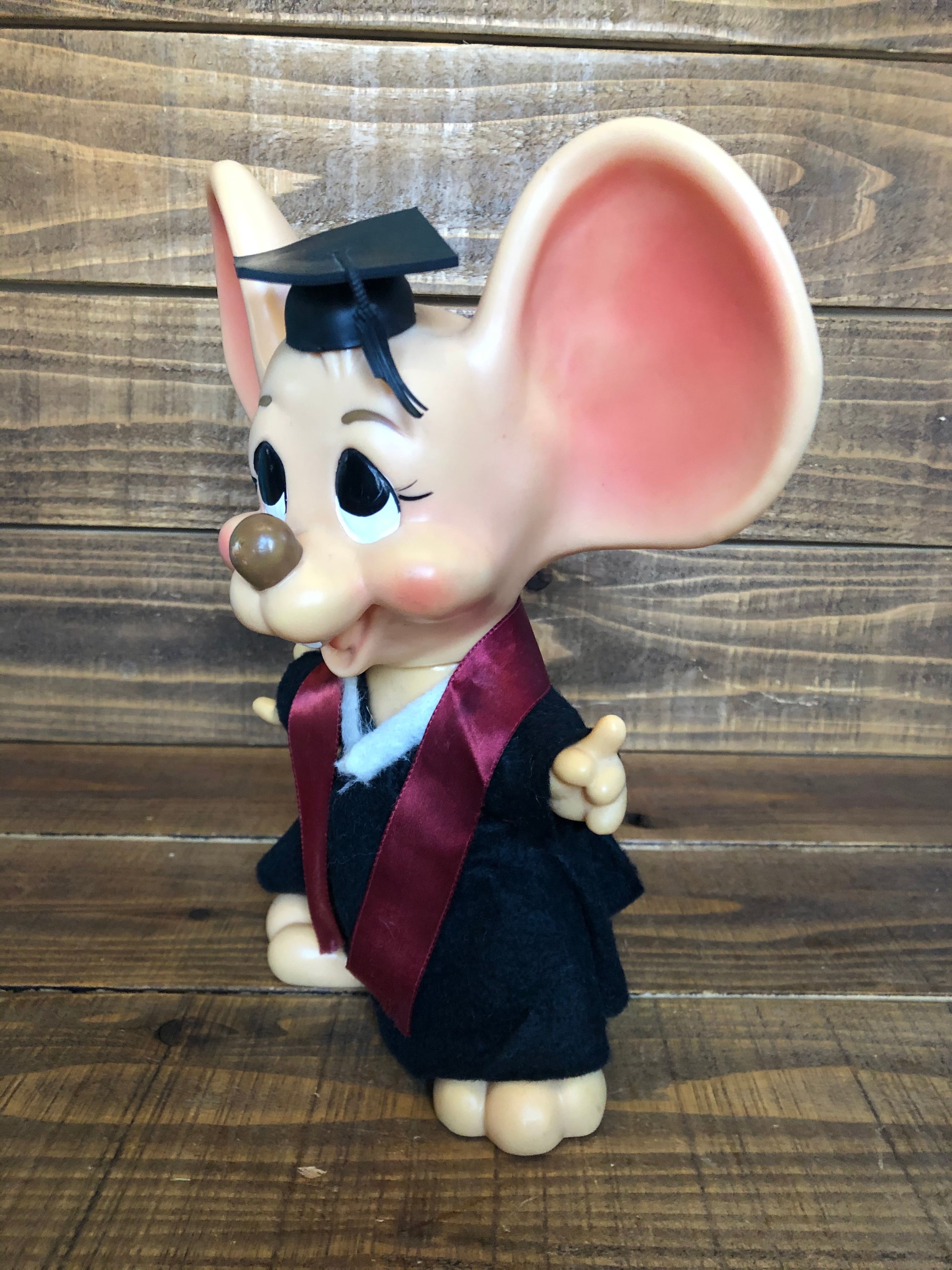 ROY DES OF FLORIDA MOUSE Coin Bank/Graduation/フロリダマウス 卒業