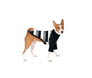 Zephry Zebra Sweater  XXS/S/M